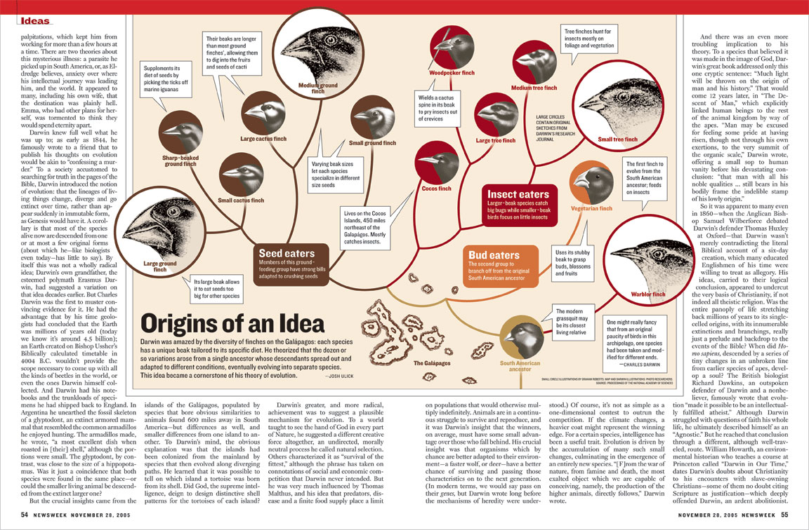 darwin graphic
