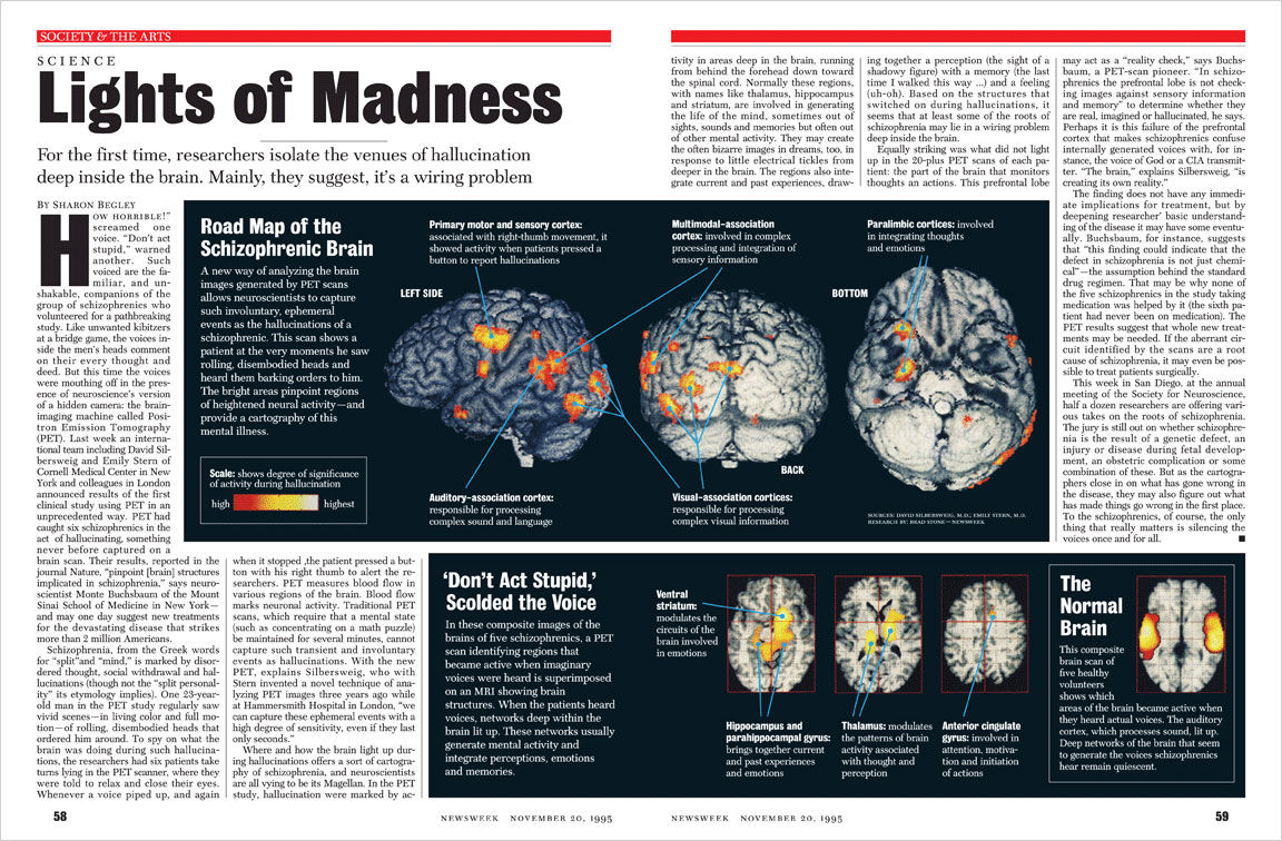 schizo graphic