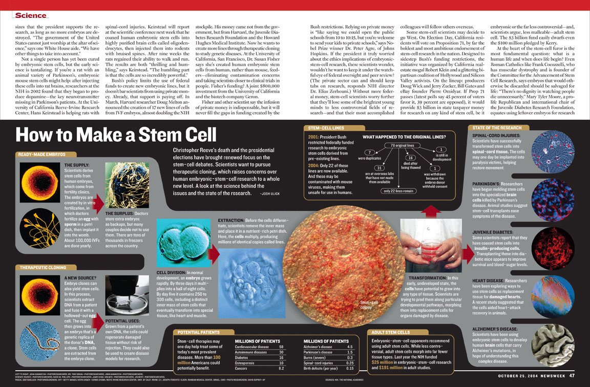 stem cells graphic